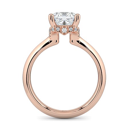 Rene with Curved Hidden Halo