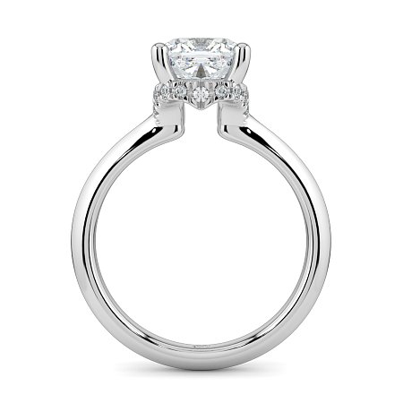 Rene with Curved Hidden Halo