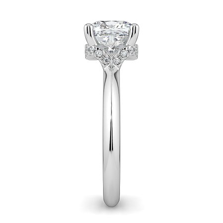 Rene with Curved Hidden Halo