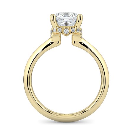 Rene with Curved Hidden Halo