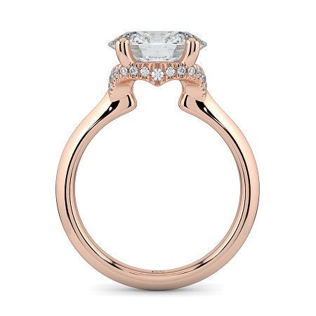 Rene with Curved Hidden Halo
