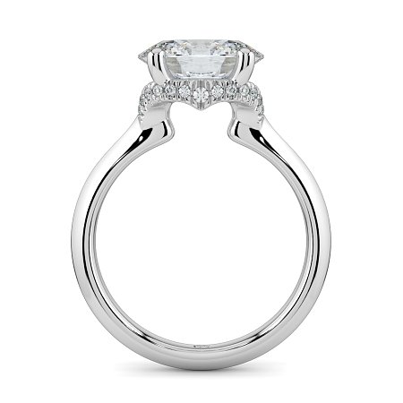 Rene with Curved Hidden Halo