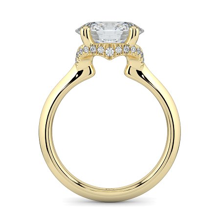 Rene with Curved Hidden Halo