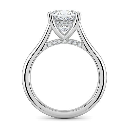 Cathedral Hidden Halo and Diamond Bridge