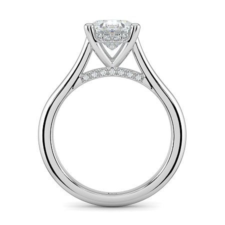Cathedral Hidden Halo and Diamond Bridge