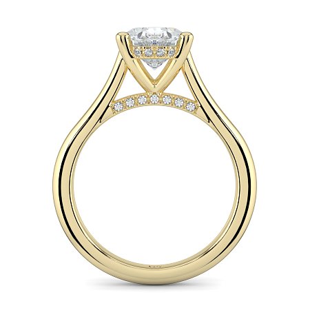 Cathedral Hidden Halo and Diamond Bridge