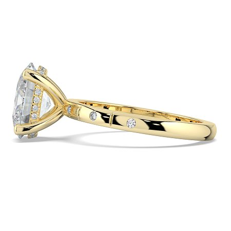 Ariel with Hammer set Diamonds on Band