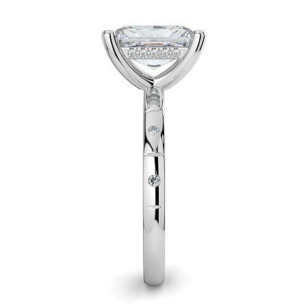 Ariel with Hammer set Diamonds on Band