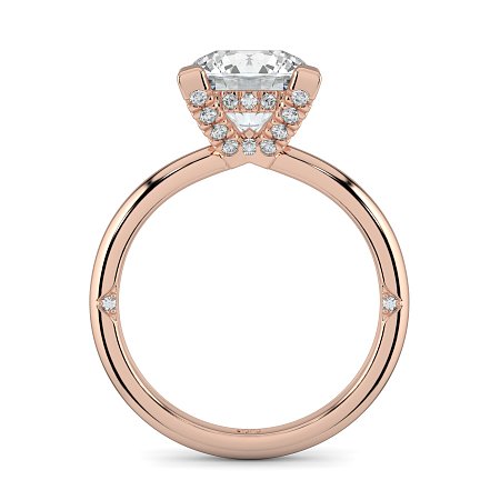 Ariel 4 Claws with Diamonds on prongs