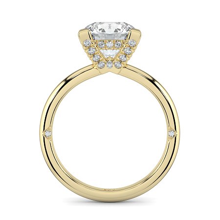 Ariel 4 Claws with Diamonds on prongs