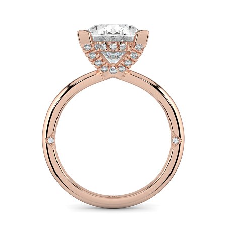 Ariel 4 Claws with Diamonds on prongs