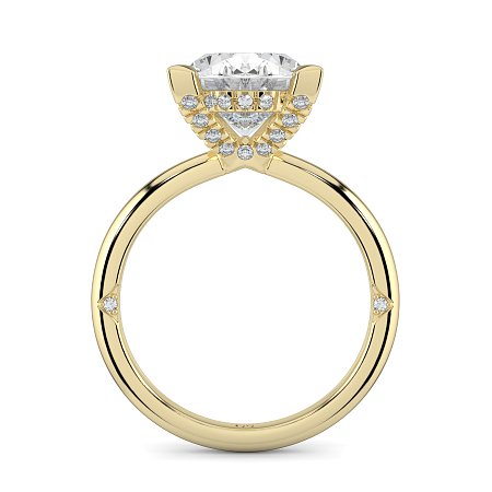 Ariel 4 Claws with Diamonds on prongs