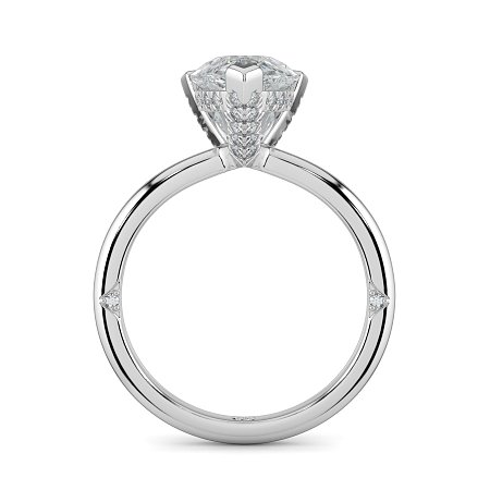 Ariel 4 Claws with Diamonds on prongs