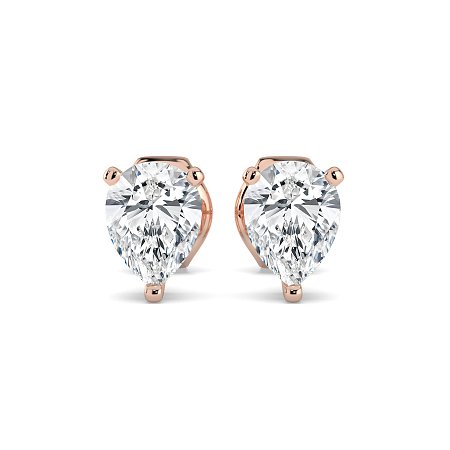 Claw Set Earrings