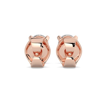 Claw Set Earrings