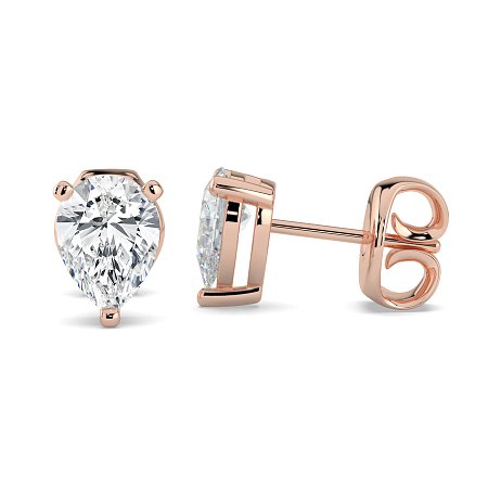 Claw Set Earrings