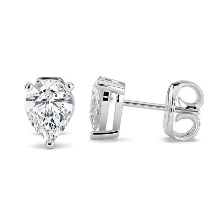 Claw Set Earrings