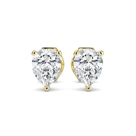 Claw Set Earrings