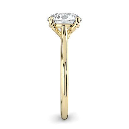 Dalia