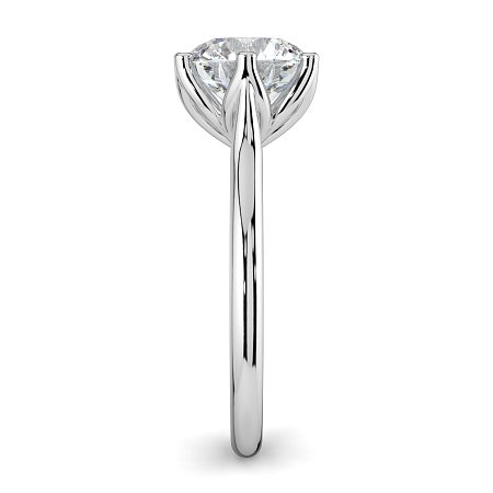 Tulip