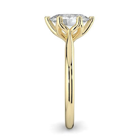 Tulip