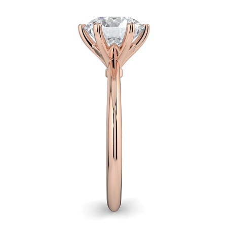 Tulip Petal