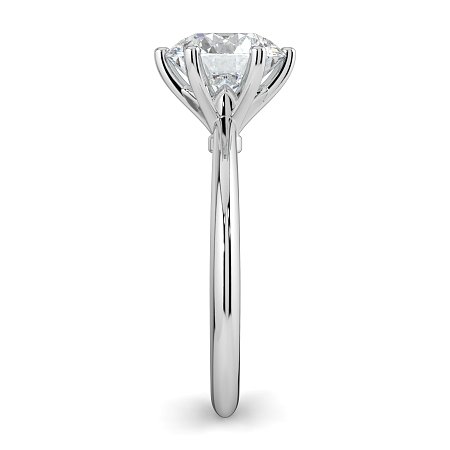 Tulip Petal