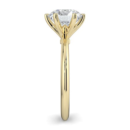Tulip Petal