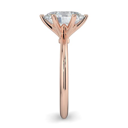 Tulip Petal