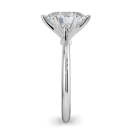 Tulip Petal