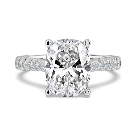 Dalia Claw Set