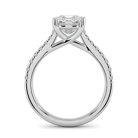 Dalia Claw Set