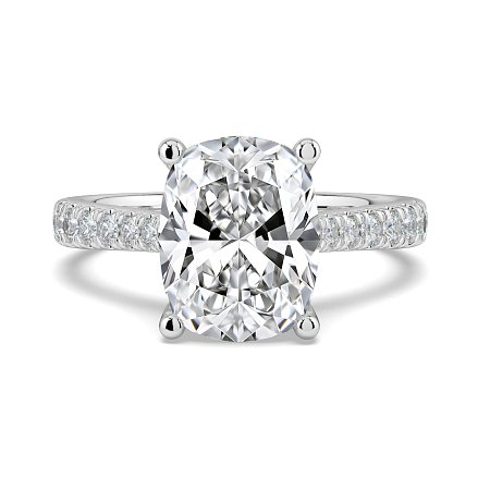 Dalia Claw Set