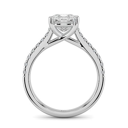 Dalia Claw Set