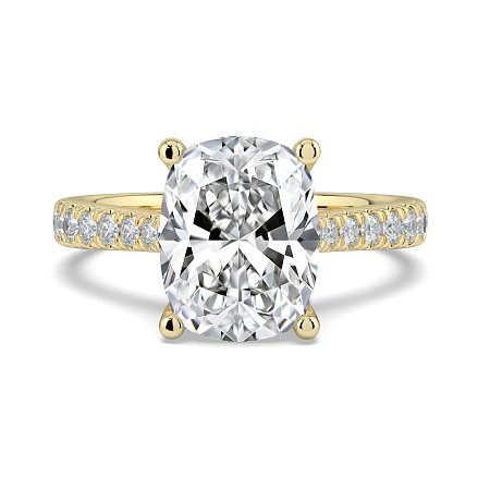 Dalia Claw Set