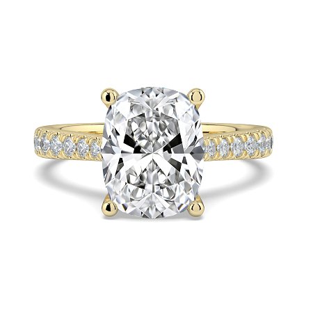 Dalia Claw Set