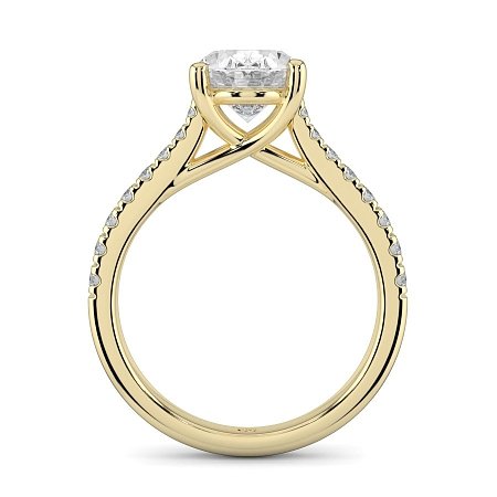Dalia Claw Set