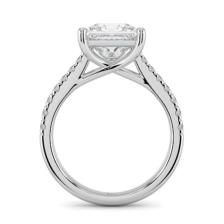 Dalia Claw Set