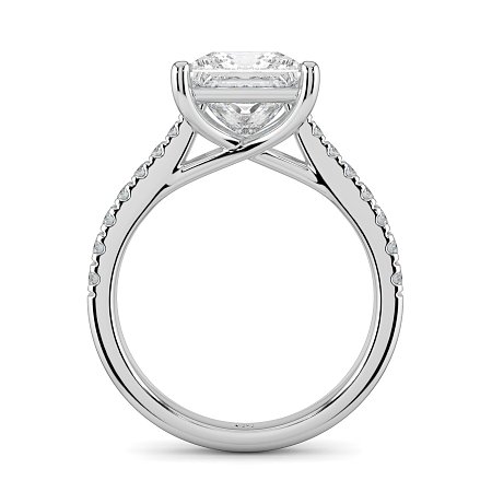 Dalia Claw Set