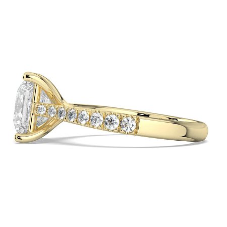 Dalia Claw Set