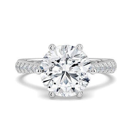 Dalia Claw Set
