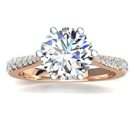 Dalia Claw Set