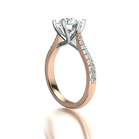 Dalia Claw Set
