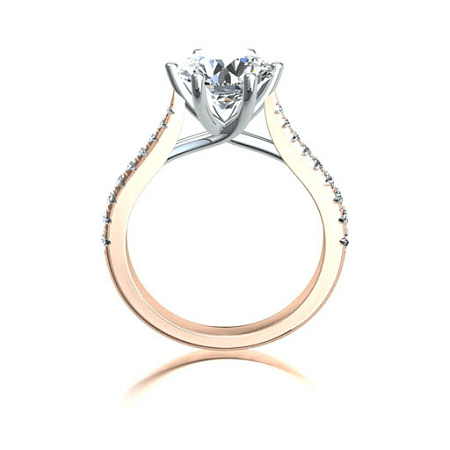 Dalia Claw Set