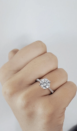 Dalia Claw Set