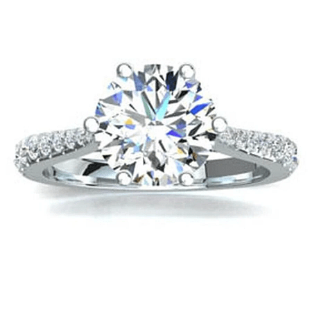 Dalia Claw Set