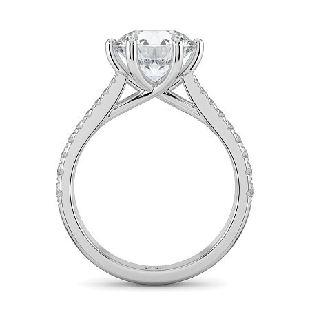 Dalia Claw Set