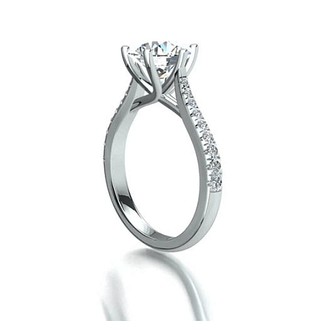 Dalia Claw Set