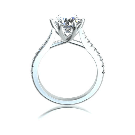 Dalia Claw Set