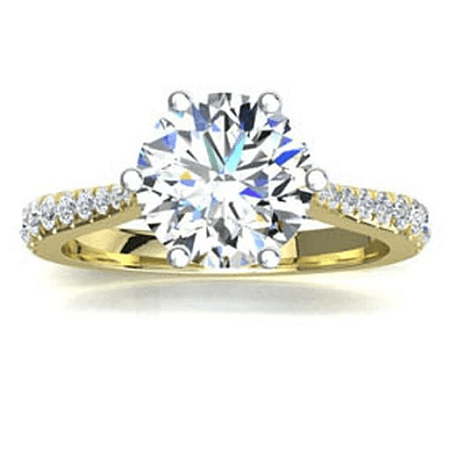 Dalia Claw Set